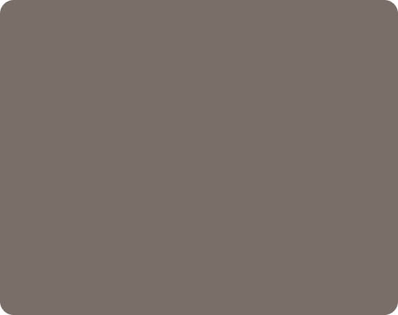 Light Bronze – 016