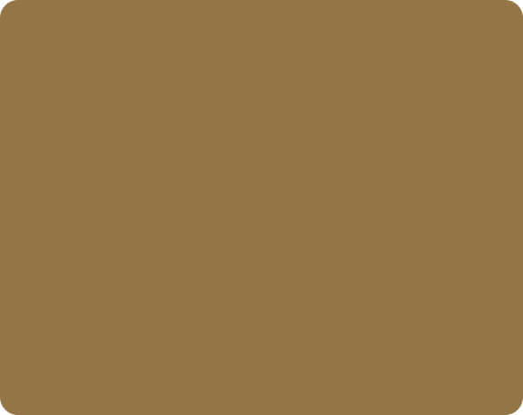 Buckskin Brown – 020