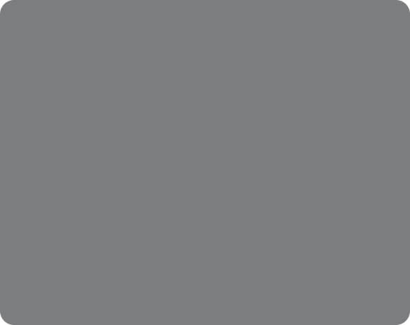 Paint Grip Metallic – 026