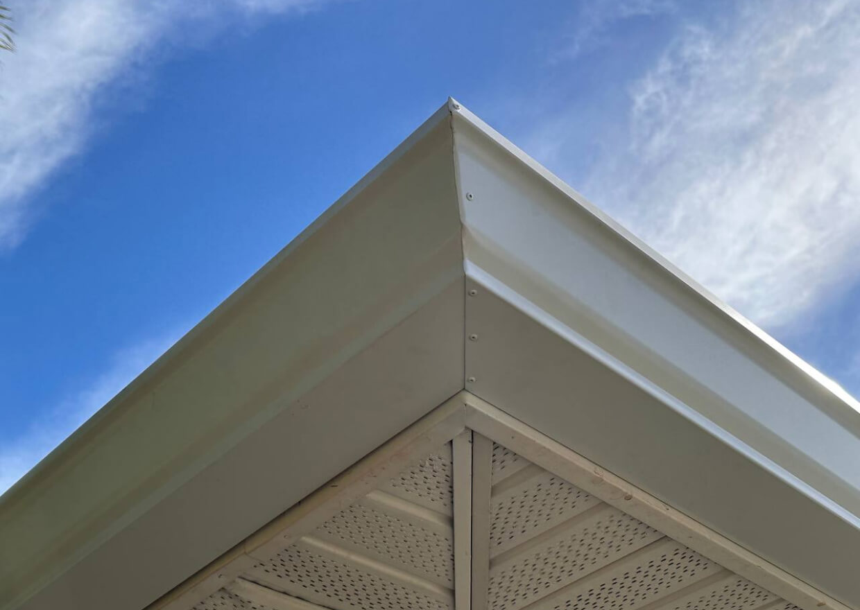 Installation leaf guard